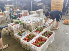 -东方鼎信农副产品交易中心