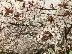 -山东师范大学(千佛山校区)