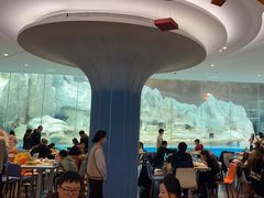 -帝企鹅自助餐厅•儿童岛•真企鹅(长隆企鹅酒店)