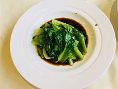 -圆苑(上海广场店)