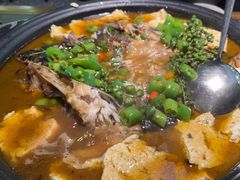 -探鱼·鲜青椒爽麻烤鱼(苏宁广场店)