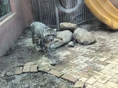 -青藏高原野生动物园