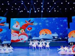 -西安小天鹅艺术团(金花路校区)