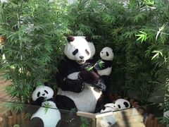 -济州岛泰迪熊博物馆