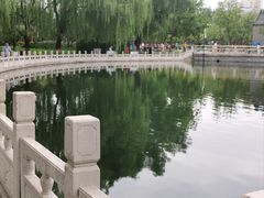 -莲花池公园