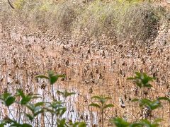 -清漾毛氏文化村