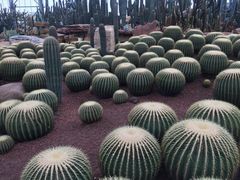 -南通洲际绿博园