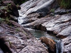 -广州白江湖森林公园