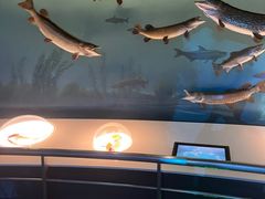 -陕西自然博物馆