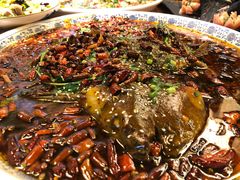 杨记招牌鱼-杨记隆府(时代天街店)