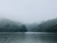 -广州市石门国家森林公园