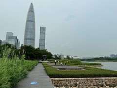 -深圳人才公园
