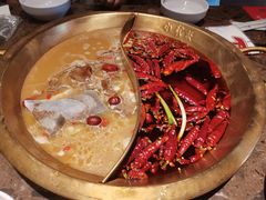 -小龙坎火锅(春熙太古里店)