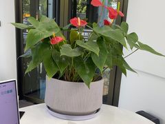 -常熟玉蕙口腔医院