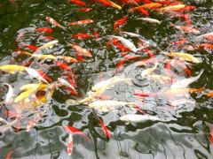 -南通洲际绿博园