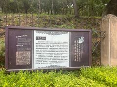 -青岛德国总督楼旧址博物馆