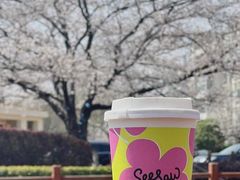 -Seesaw Coffee(上海国金中心店)
