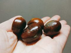 -周记炒货·山核桃·甘栗(武林店)