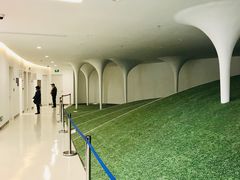 -上海市徐汇区口腔医院