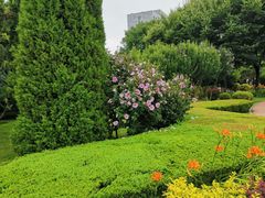 -黑石礁公园
