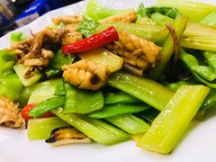 -新合益乡村农庄