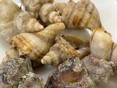 -阳江餐厅·30年老字号·粤菜海鲜大排档