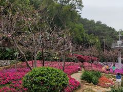 -狐尾山公园