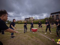 -上海崇明金茂凯悦酒店