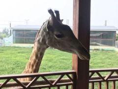 -荆州中山公园动物园