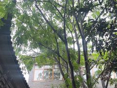 -四方小吃·白族庭院餐厅