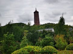 -普陀山风景区-佛顶山