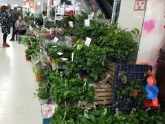-无锡文化工艺品市场(槐古路店)