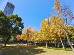 -西北湖绿化广场