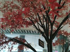 -艾薯夫妇Aysh(福田星河COCOPark店)