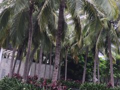 -半山半岛洲际度假酒店·观海廊