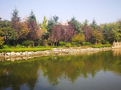 -芭东小镇温泉
