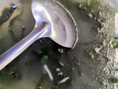 -金海湾海鲜排档(朱家尖店)
