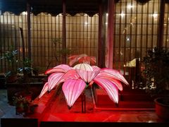 -阿细汉菜(本地盐帮菜名店)