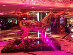 -纯K(打浦桥店)