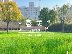 -大宁公园