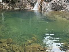 -九龙江国家森林公园