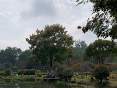 -洪湖家庭农场·团建·露营·会议
