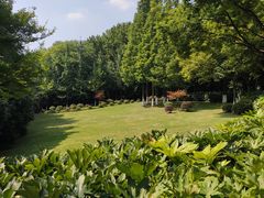 -上海市保健医疗中心