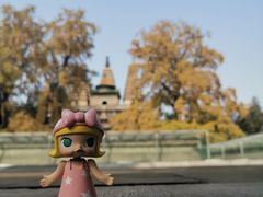 -故宫博物院(故宫)