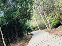 -大罗山风景区