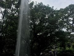 -九龙公园