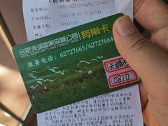 -合肥滨湖国家森林公园