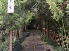 -洛阳白马寺