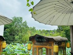 -绿茶餐厅(龙井船宴· 品牌总店)