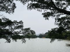 -江心屿景区